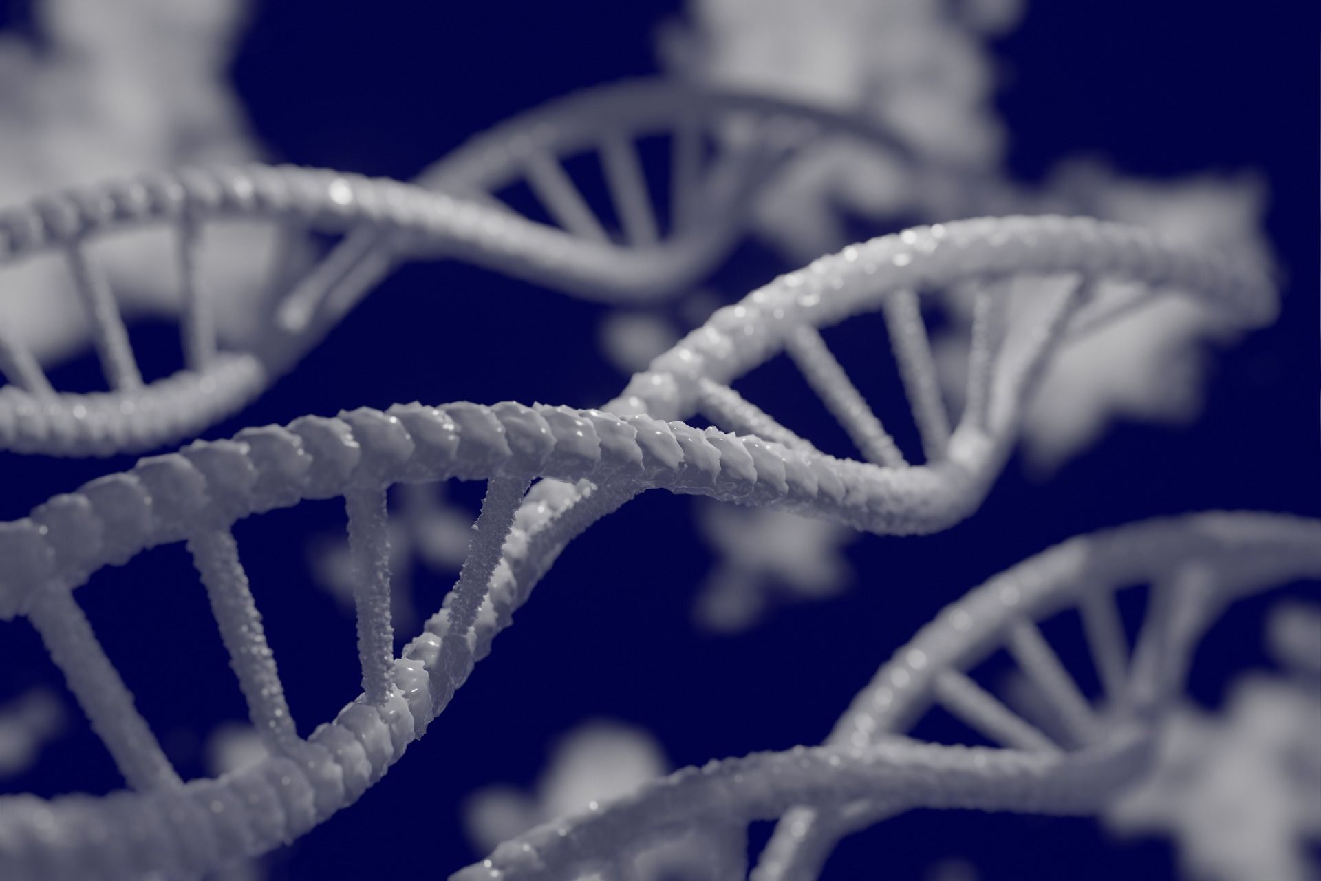 dna-5297378_1920